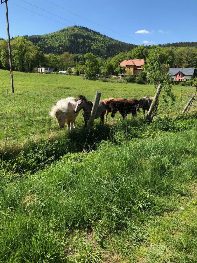 Dom Gorski Do Wynajecia 3 Km Od Karpacza Sudecka 100 Miłków Buitenkant foto